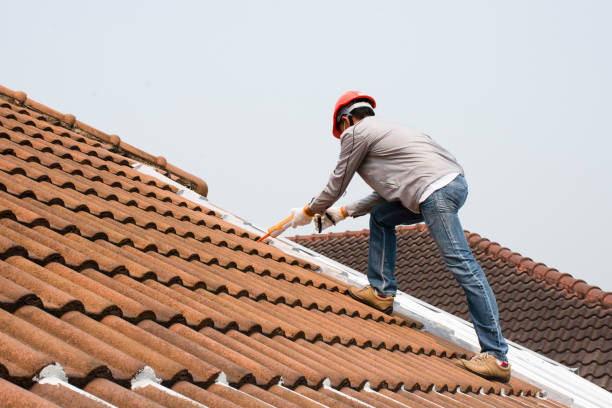 Best Wood Shake Roofing  in Oronoco, MN