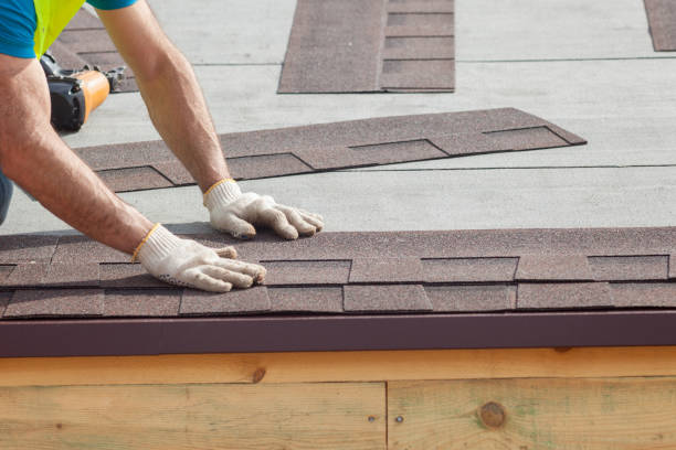 Best Sheet Metal Roofing  in Oronoco, MN